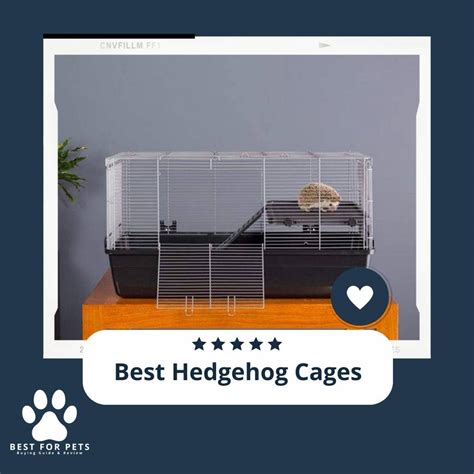 The 10 Best Hedgehog Cages - BestForPets.org