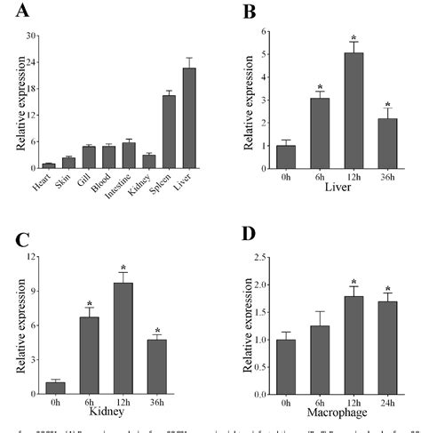 Figure From Characterization And Role Of Suppressor Of Cytokine