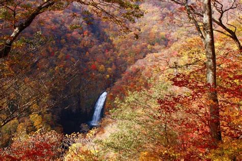 蔵王エコーラインの紅葉画像3枚目 ｜紅葉名所2024