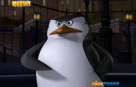 Angry Skipper Penguins Of Madagascar Photo 33093233 Fanpop