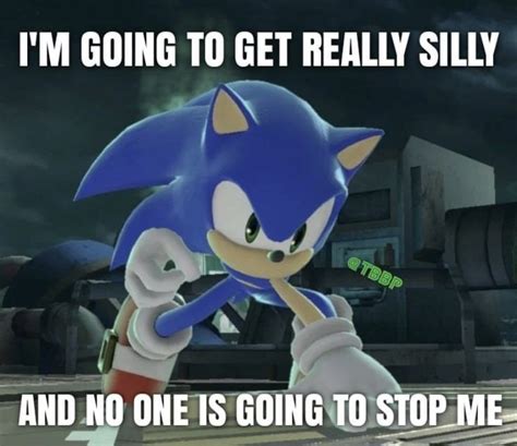 Sonic Funny Memes and Silly Images