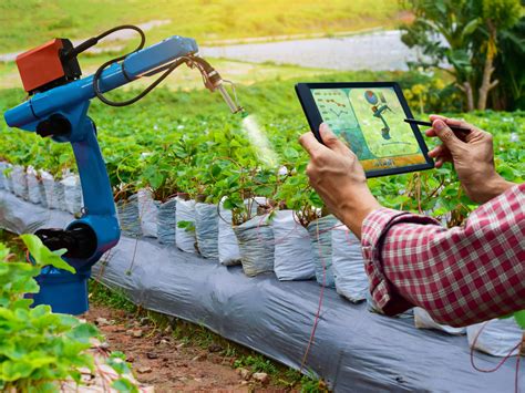 Smart Farming Artigos Wikifarmer