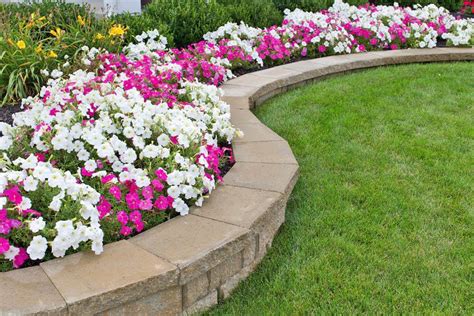 15 Garden Edging Ideas