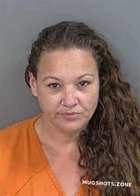 Ringle Katy Collier County Mugshots Zone