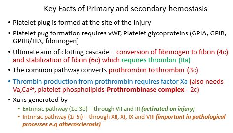 Cpr Lecture Fibrinolysis And Disorders Of Hemostasis Flashcards