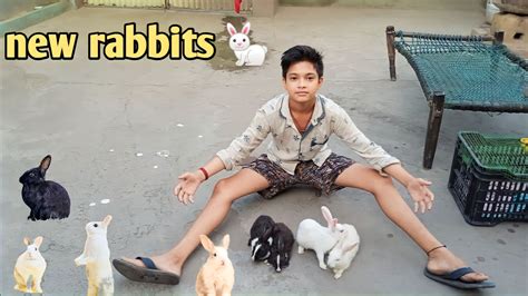 Log New Rabbits Le Aaye Hain Pets Vlog 🐇 Youtube