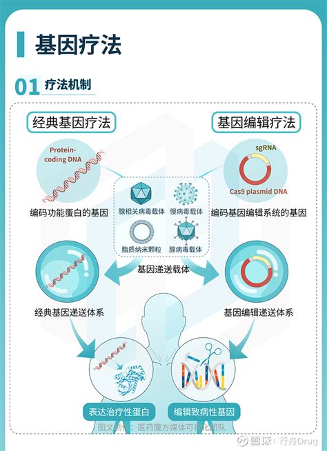 2023年5月细胞基因疗法全球研发汇总 点击上方的 行舟Drug 添加关注文章信息源于公众号医药魔方登载该文章目的为更广泛的传递行业信息