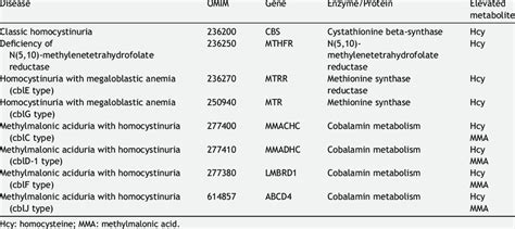 Genetic Diseases Associated To Elevated Levels Of Homocysteine