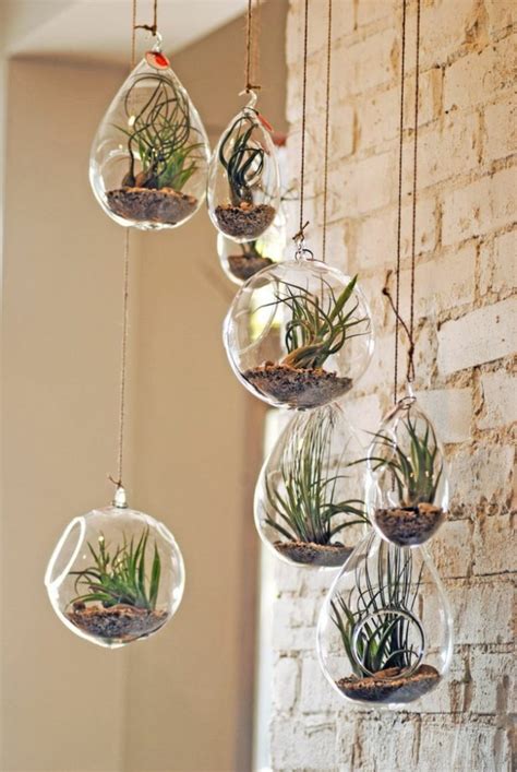 13 Awesome Hanging Terrariums For Your Home Decor Page 5 Of 13 Top Dreamer