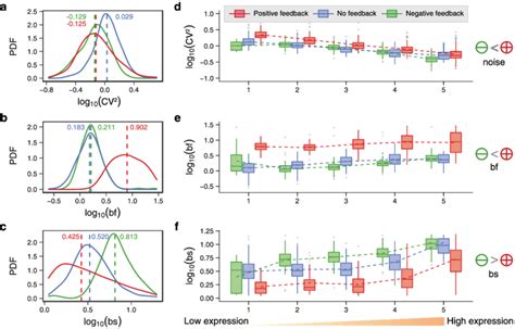 Genome Wide Comparison Of Transcriptional Burst Kinetics In Three Cases