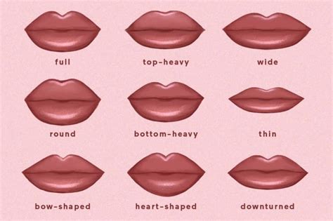 Different Types Of Lips