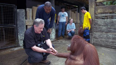 Joel Sartores Photo Ark National Geographic Photographer Saving