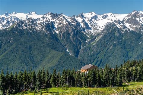 6 Great Places to Visit in Olympic National Park Near Sequim