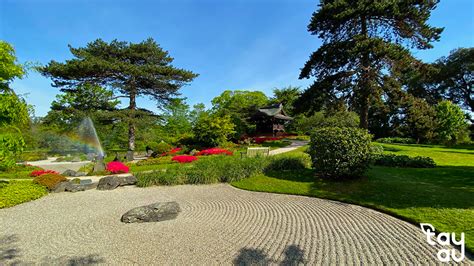 Japanese Dry Garden: The Subtle and Serene Beauty