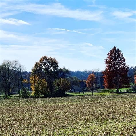 Chester County Fall Color Palette