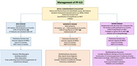 Proposed Management Algorithm For Progressive Fibrosing Interstitial Download Scientific