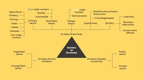 Types And Sectors Of Economy Mind Map UPSC Shravi IAS