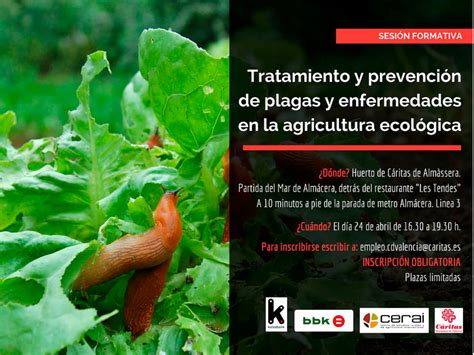 Tratamiento Y Prevención De Plagas Y Enfermedades En La Agricultura Ecológica Cerai