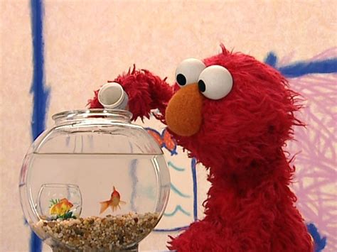 Watch Full Episodes Of Elmo Online - armfreesoft