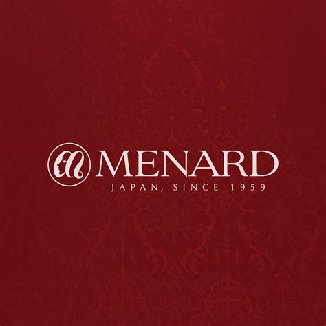 Professional Background and Profile of Robert Menard 1