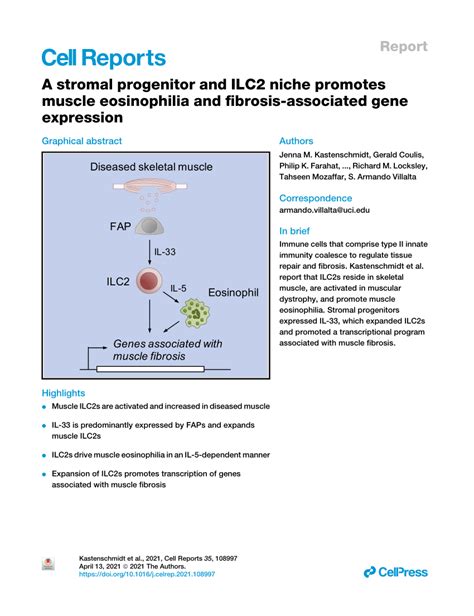 PDF A Stromal Progenitor And ILC2 Niche Promotes Muscle Eosinophilia