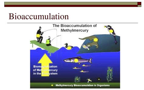 PPT UNIT 1 SUSTAINING ECOSYSTEMS PowerPoint Presentation Free