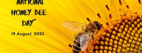 National Honey Bee Day 2023 Goal And Significance