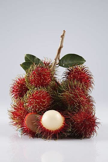 Rambutan Malaysia Thailand Ripe Photo Background And Picture For Free ...