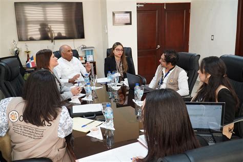 Colaboradores Tse Realizan Jornada De Trabajo Con Misi N De Observaci N