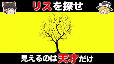 【ゆっくり解説】あなたは何がみえる？天才だけに見える錯覚テスト Youtube