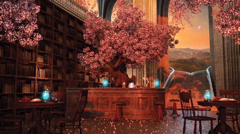 Cherry Blossom Library Caf Ambience Fantasy Caf With Spring Nature