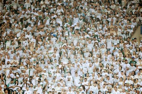 Palmeiras X Cerro Porte O Mil Ingressos Vendidos Veja Pre Os E