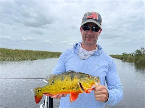 South Florida Peacock Bass