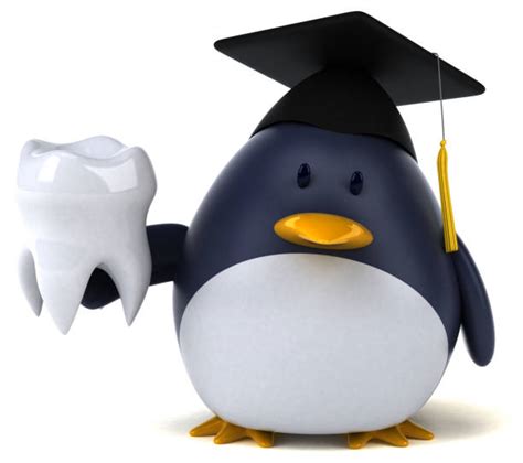 Top Penguin Teeth Stock Photos, Pictures and Images - iStock