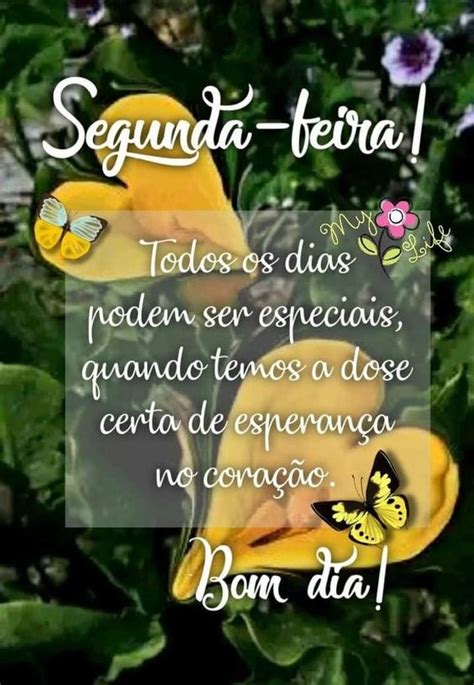 58 Frases de Bom dia Segunda feira abençoada Imagens e Flores