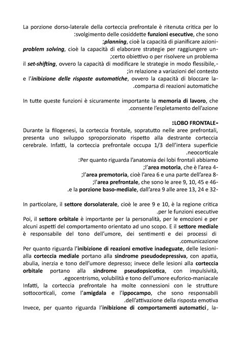 Funzioni Esecutive Psicobiologia Prof Coco La Porzione Dorso Laterale Della Corteccia