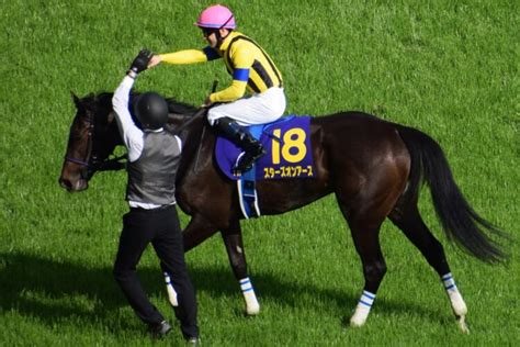 元騎手・蛯名正義氏が振り返る、3歳牝馬三冠を達成した2010年アパパネの秋華賞勝利｜newsポストセブン