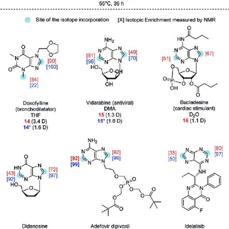 Deuterium Labelling Of Pharmaceuticals In Red Isotopic Enrichment Download Scientific Diagram