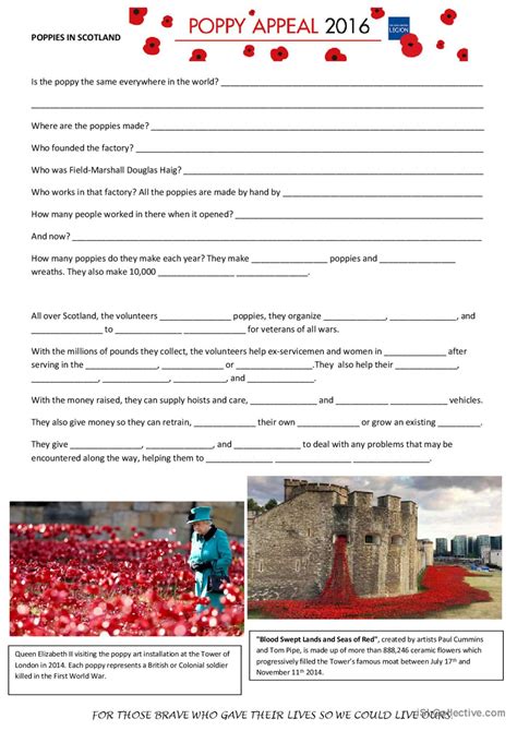 Remembrance Day: English ESL worksheets pdf & doc