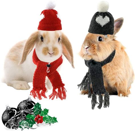 You Need These 7 Amazing Pet Christmas Costumes