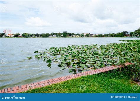 Lake Morton And The City Center Of Lakeland Florida Stock Photo Image