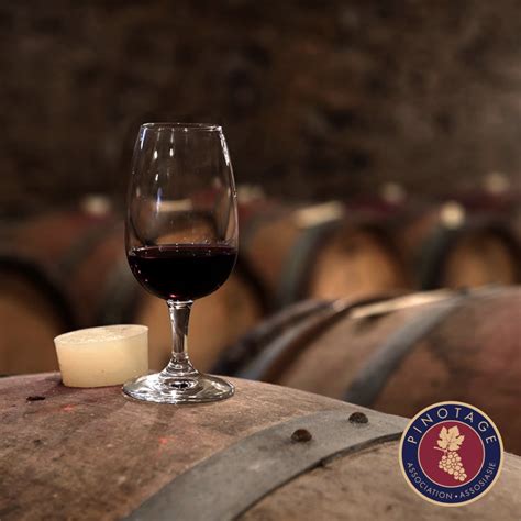 Rewriting Wine 101: Celebrating Pinotage, A Unique South African Grape ...