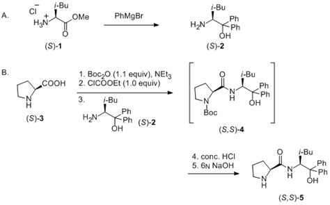 Organic Syntheses Procedure