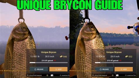 Unique Brycon Hotspots At Maku Maku Lake Fishing Planet YouTube