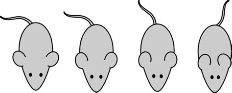 Lab Mouse Template Clip Art at Clker.com - vector clip art online, royalty free & public domain