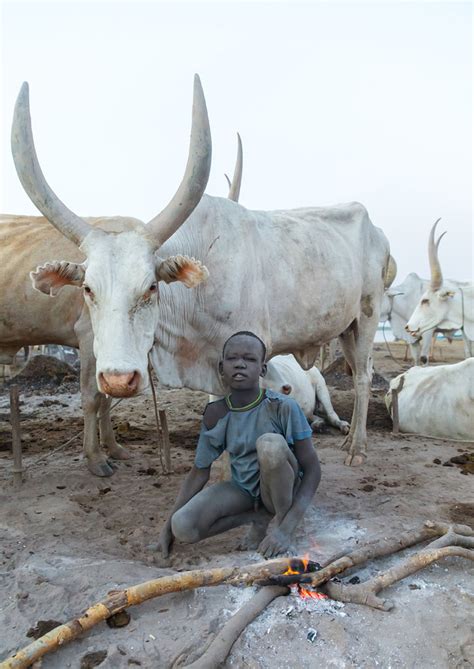 Mundari Tribe Boy Making A Campfire Made With Dried Cow Du Flickr