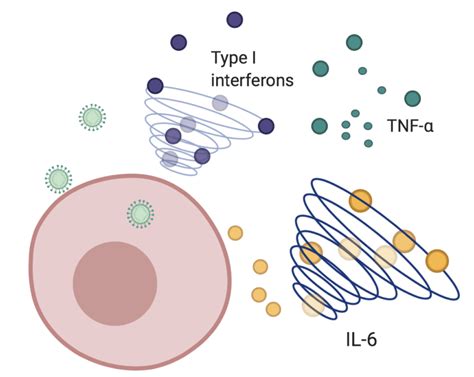 cytokine storm