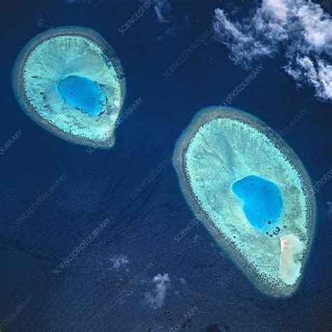 Atolls, Baa Atoll, Maldives - Stock Image - C026/5598 - Science Photo Library