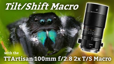 Tilt Shift Macro Field Review Of The Ttartisan Mm Macro W