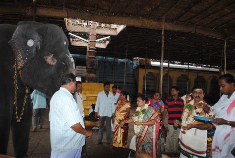 Sashtiapthapoorthi Gaja Pooja Elephant Prayer